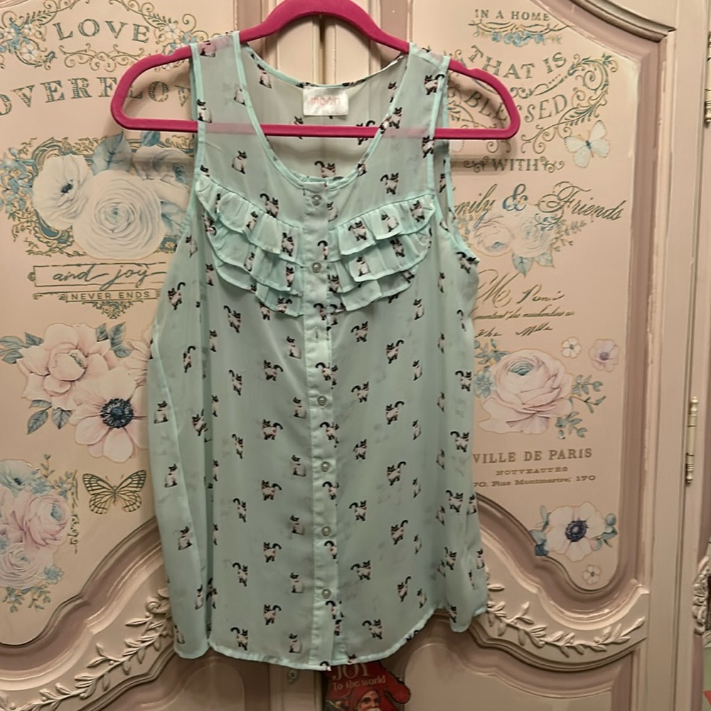 Soft lite green blouse size large ruffle bodice sheer pristine condition so cute